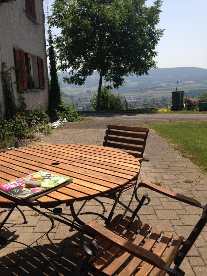 Bnb Im Waldhof Bachenbulach エクステリア 写真